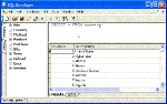 SQL Developer Small Screenshot